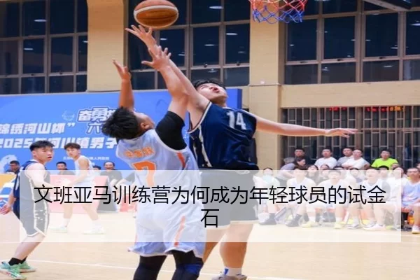 文班亚马训练营为何成为年轻球员的试金石